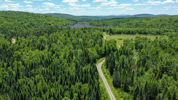84 Acres of Recreational & Residential Land for Sale in Springfield, Maine