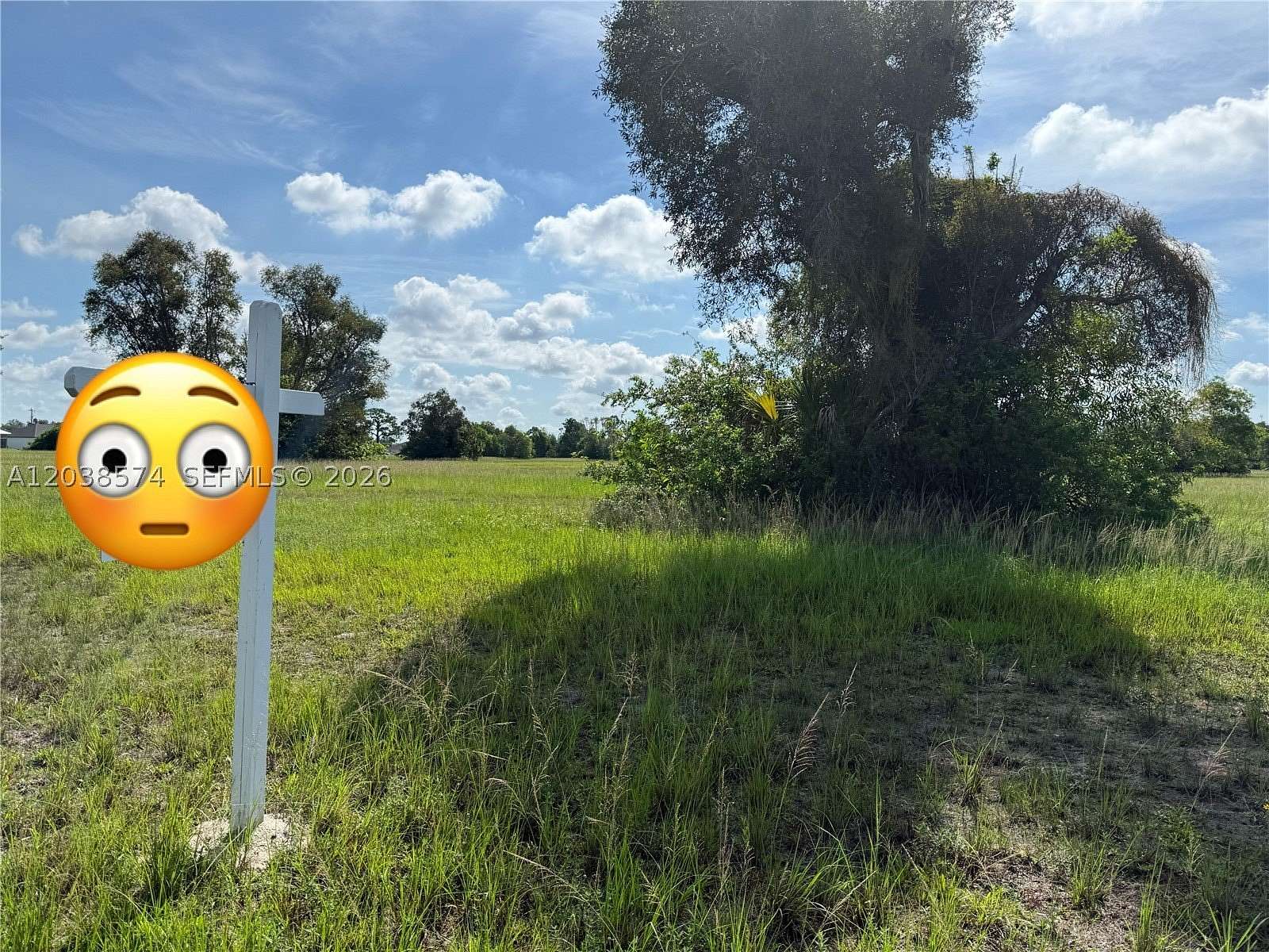 0.34 Acres of Commercial Land for Sale in Cape Coral, Florida
