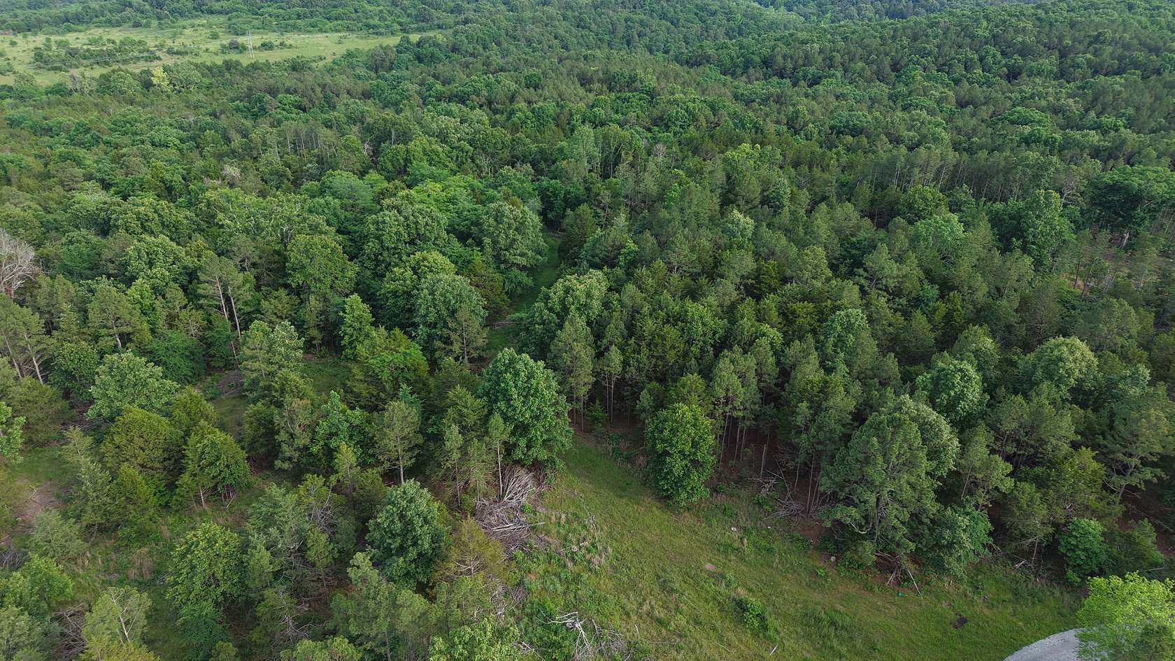 32 Acres of Land for Sale in Elizabeth, Arkansas