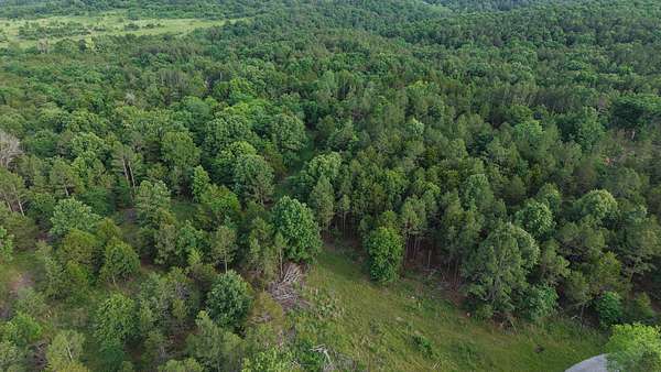 32 Acres of Land for Sale in Elizabeth, Arkansas