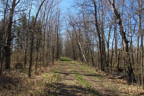 70 Acres of Land for Sale in Willow River, Minnesota