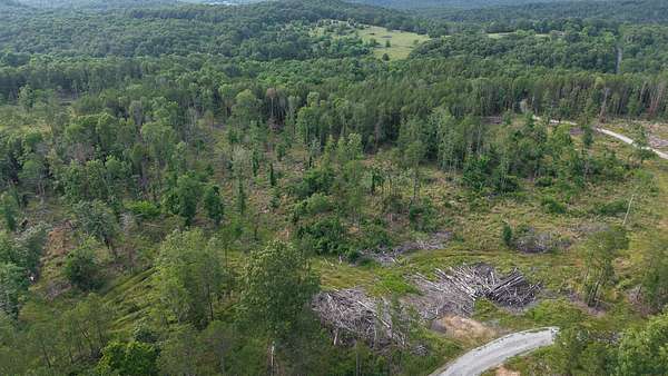 26 Acres of Land for Sale in Elizabeth, Arkansas
