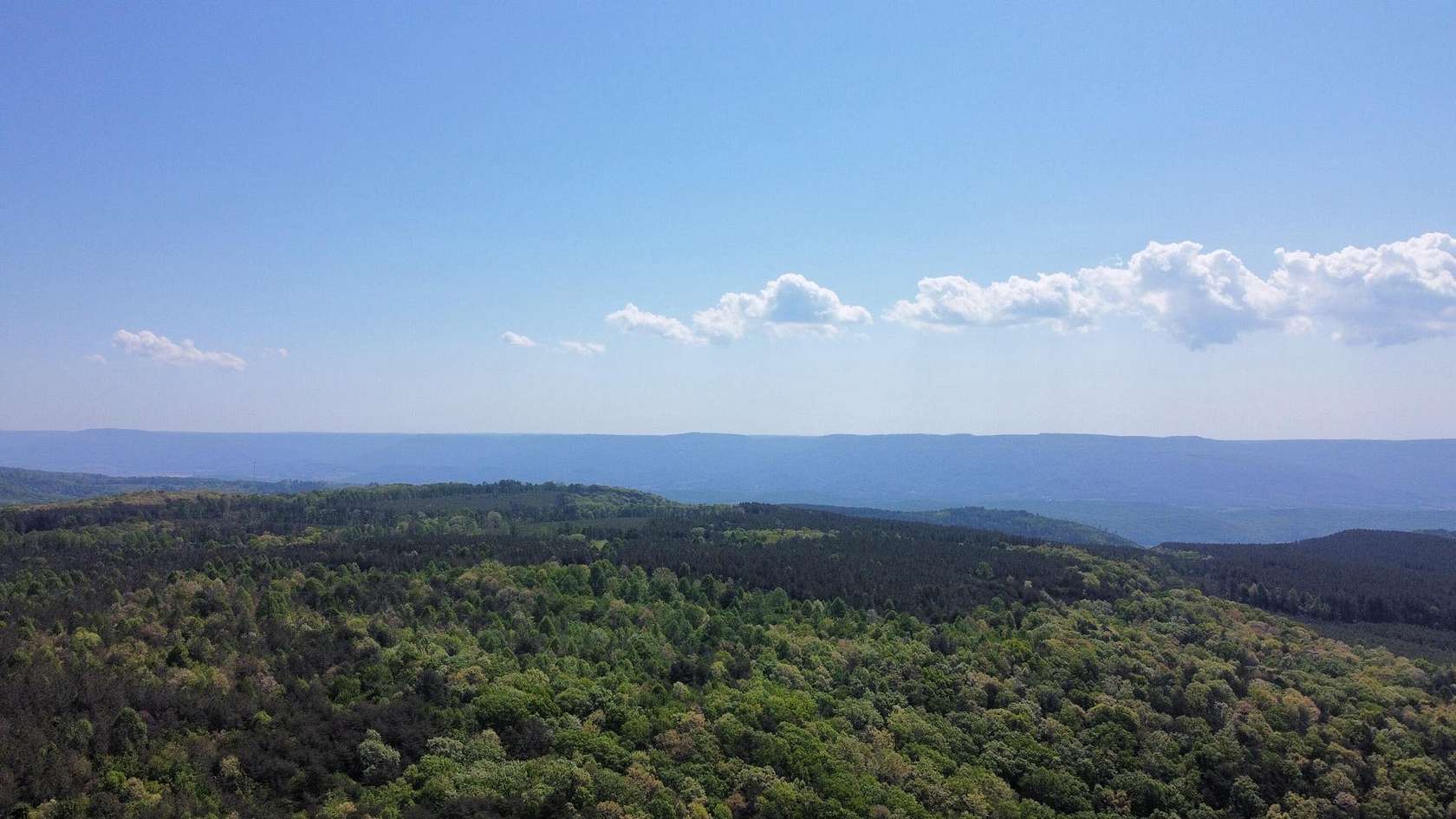 866 Acres of Land for Sale in Pikeville, Tennessee