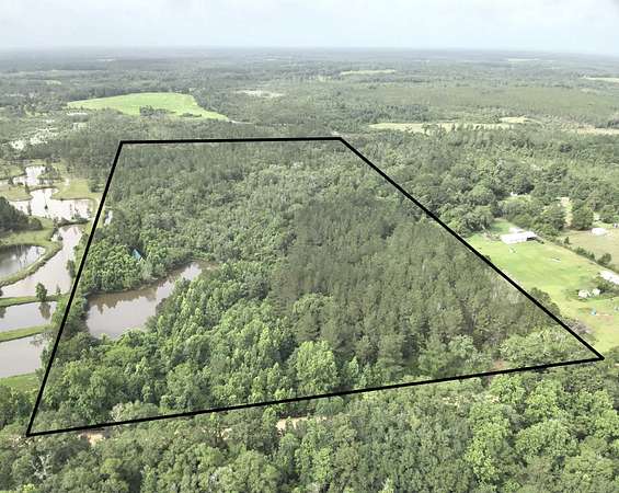 26 Acres of Improved Land for Sale in Black, Alabama