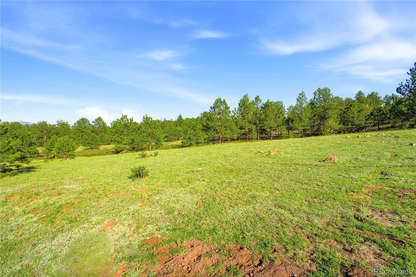 20 Acres of Recreational & Residential Land for Sale in Guffey, Colorado