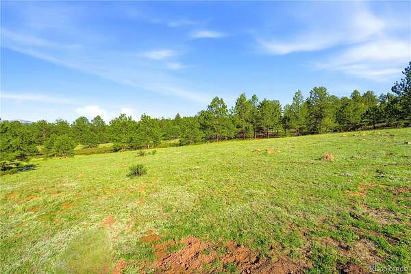 20 Acres of Recreational & Residential Land for Sale in Guffey, Colorado