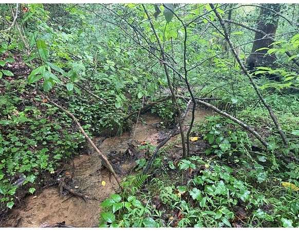 4.1 Acres of Residential Land for Sale in Ellijay, Georgia