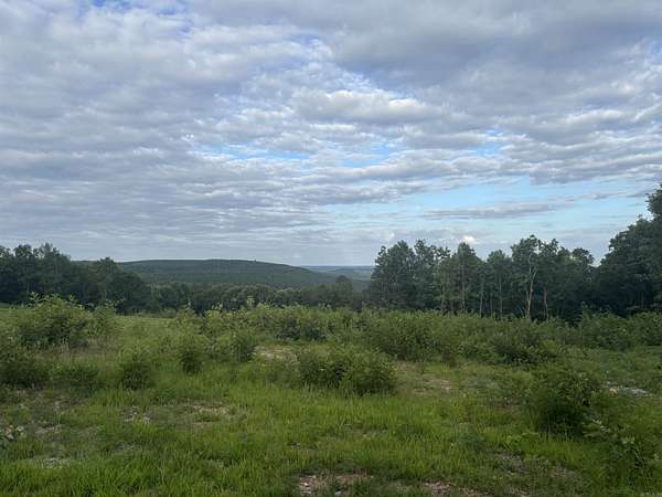 225 Acres of Recreational Land for Sale in Drasco, Arkansas