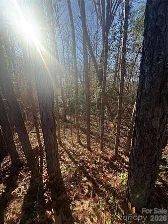6.9 Acres of Mixed-Use Land for Sale in Taylorsville, North Carolina