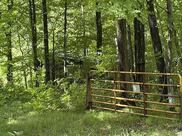 39.4 Acres of Land for Sale in Exeland, Wisconsin