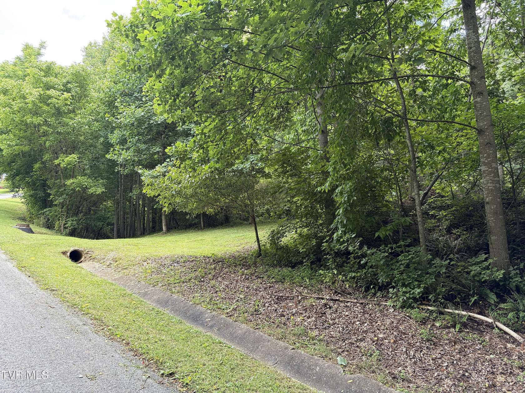 0.45 Acres of Residential Land for Sale in Weber City, Virginia