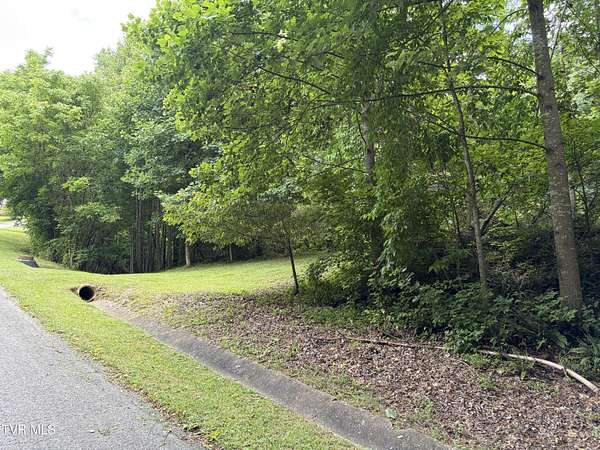 0.45 Acres of Residential Land for Sale in Weber City, Virginia