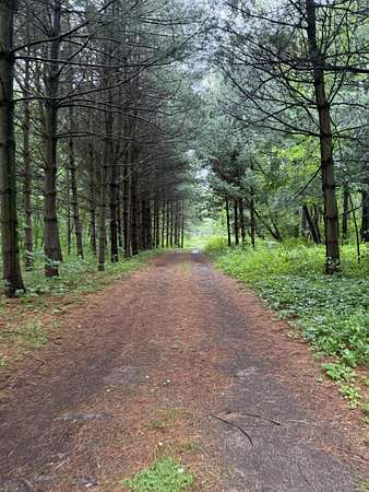 14 Acres of Recreational & Residential Land for Sale in Cassopolis, Michigan
