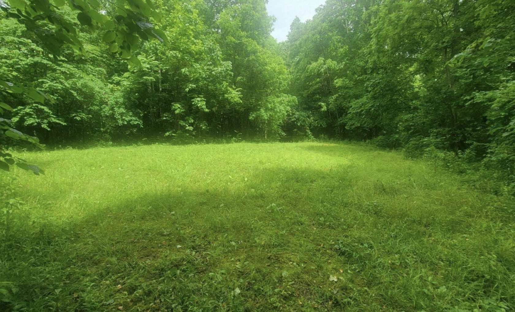 22.7 Acres of Recreational Land for Sale in Lafayette, Tennessee