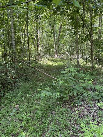 22.7 Acres of Recreational Land for Sale in Lafayette, Tennessee