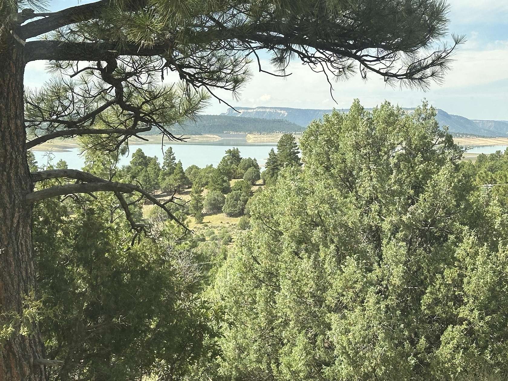 5.52 Acres of Residential Land for Sale in Los Ojos, New Mexico