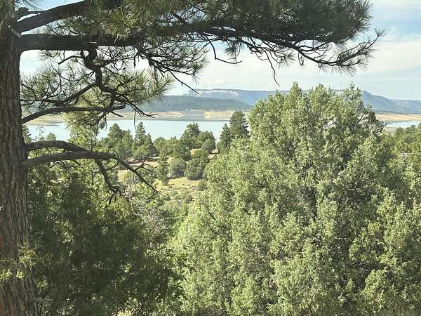 5.52 Acres of Residential Land for Sale in Los Ojos, New Mexico