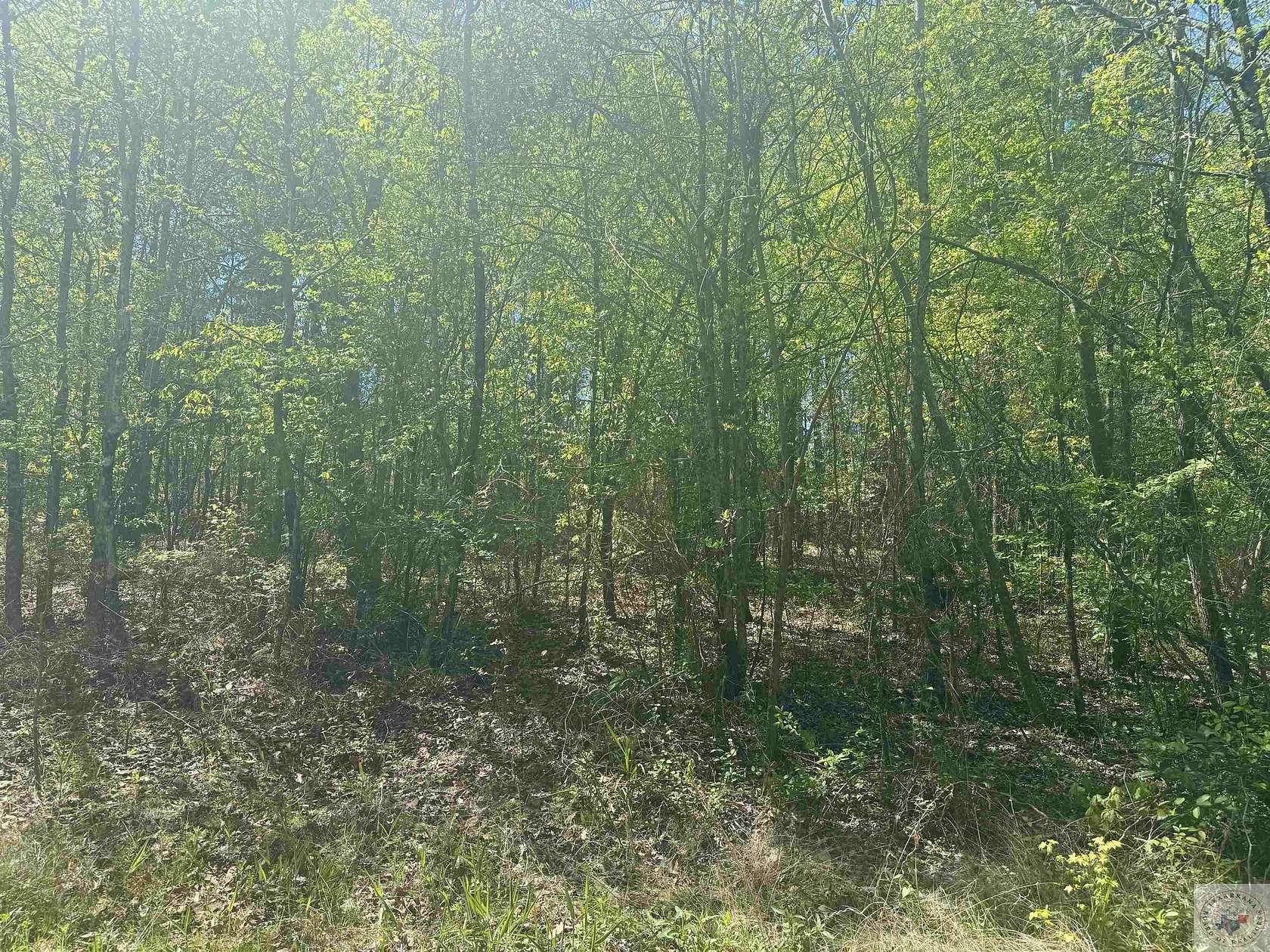 61.2 Acres of Recreational & Residential Land for Sale in Linden, Texas