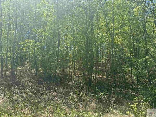 61.2 Acres of Recreational & Residential Land for Sale in Linden, Texas