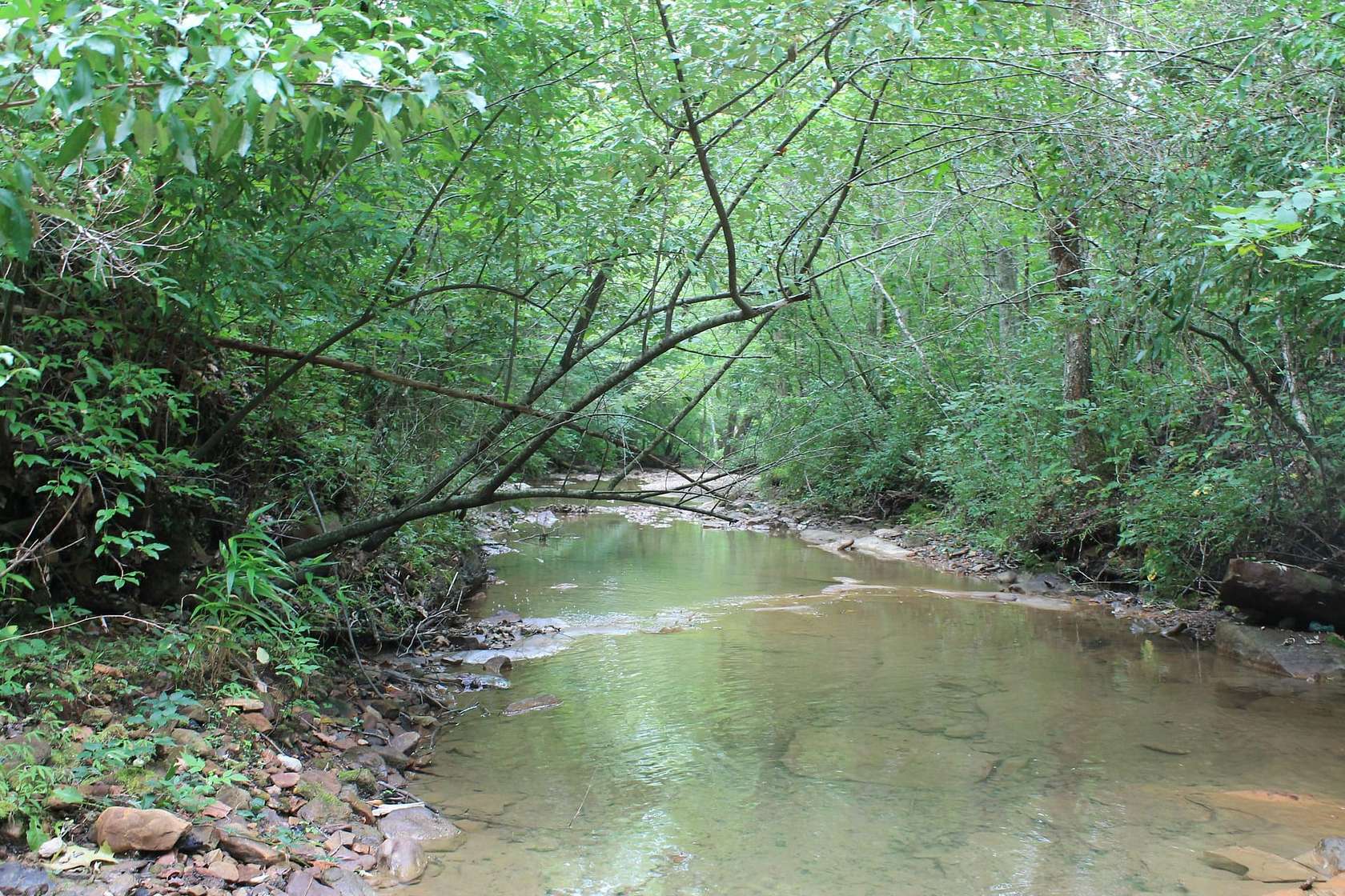 1,016 Acres of Recreational Land for Sale in Huntsville, Tennessee