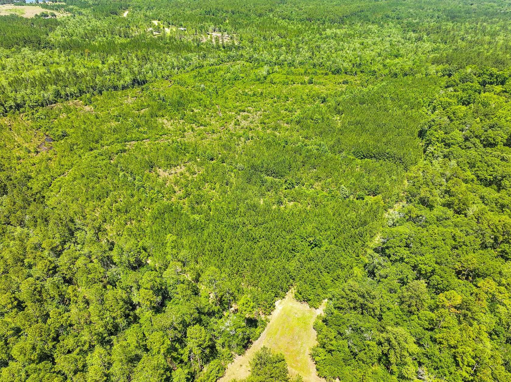 40 Acres of Recreational Land for Sale in Vinegar Bend, Alabama