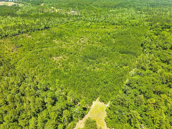 40 Acres of Recreational Land for Sale in Vinegar Bend, Alabama