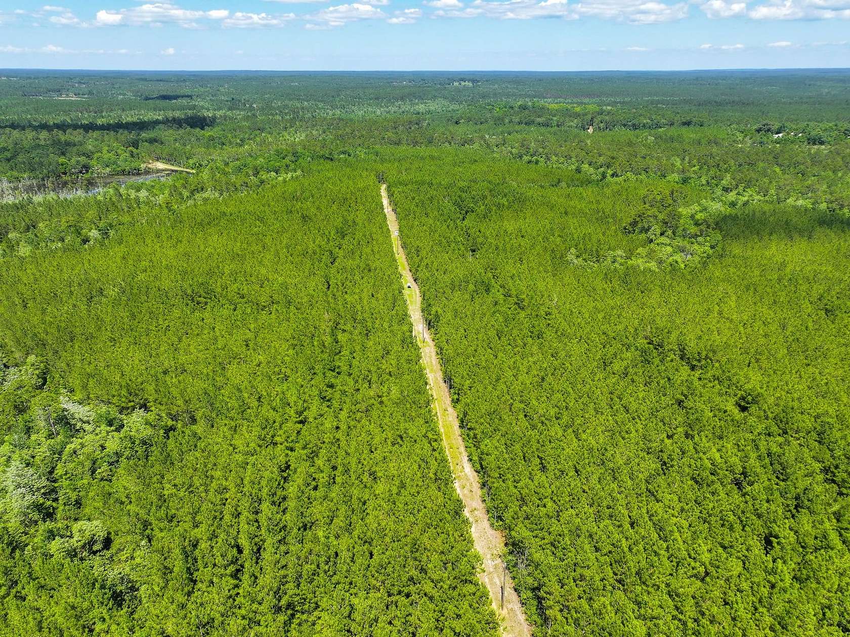 153 Acres of Recreational Land for Sale in Vinegar Bend, Alabama
