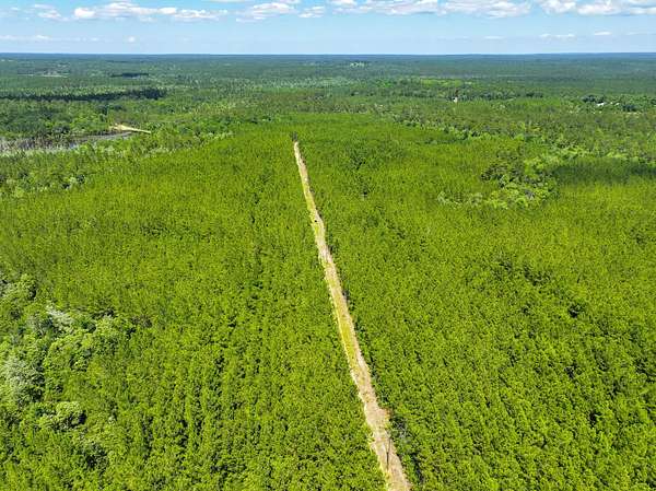 153 Acres of Recreational Land for Sale in Vinegar Bend, Alabama