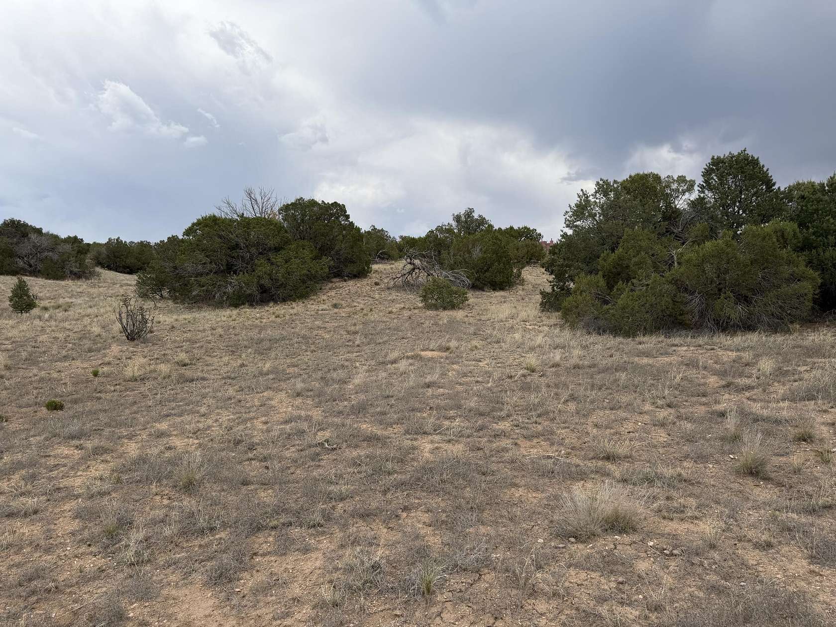 3 Acres of Residential Land for Sale in Sandia Park, New Mexico