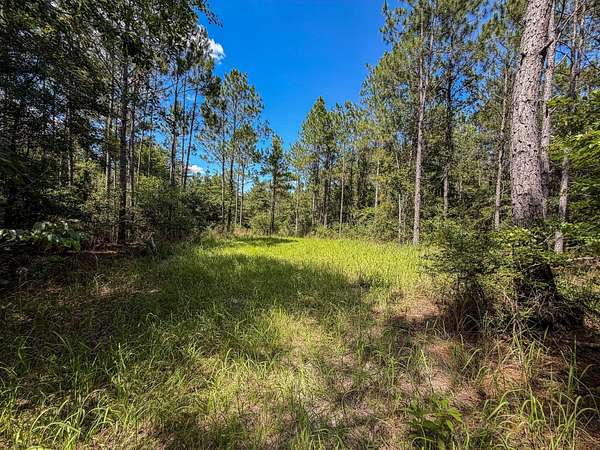 85 Acres of Recreational Land for Sale in Vinegar Bend, Alabama