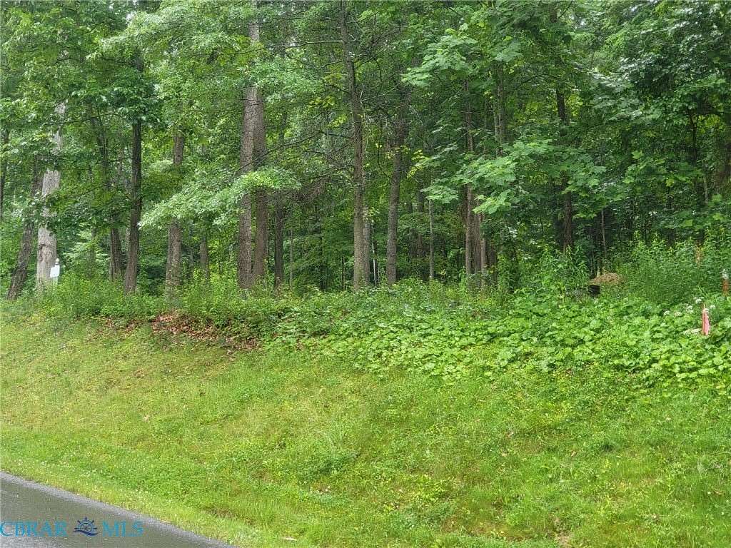 0.78 Acres of Residential Land for Sale in Hot Springs, Virginia