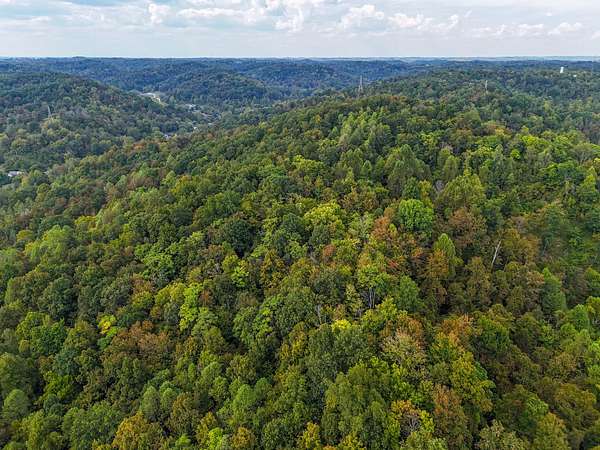 29 Acres of Recreational Land for Sale in Chesapeake, Ohio