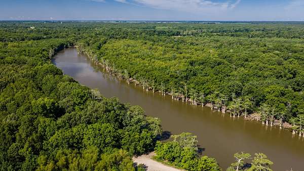 300 Acres of Recreational Land for Sale in De Valls Bluff, Arkansas