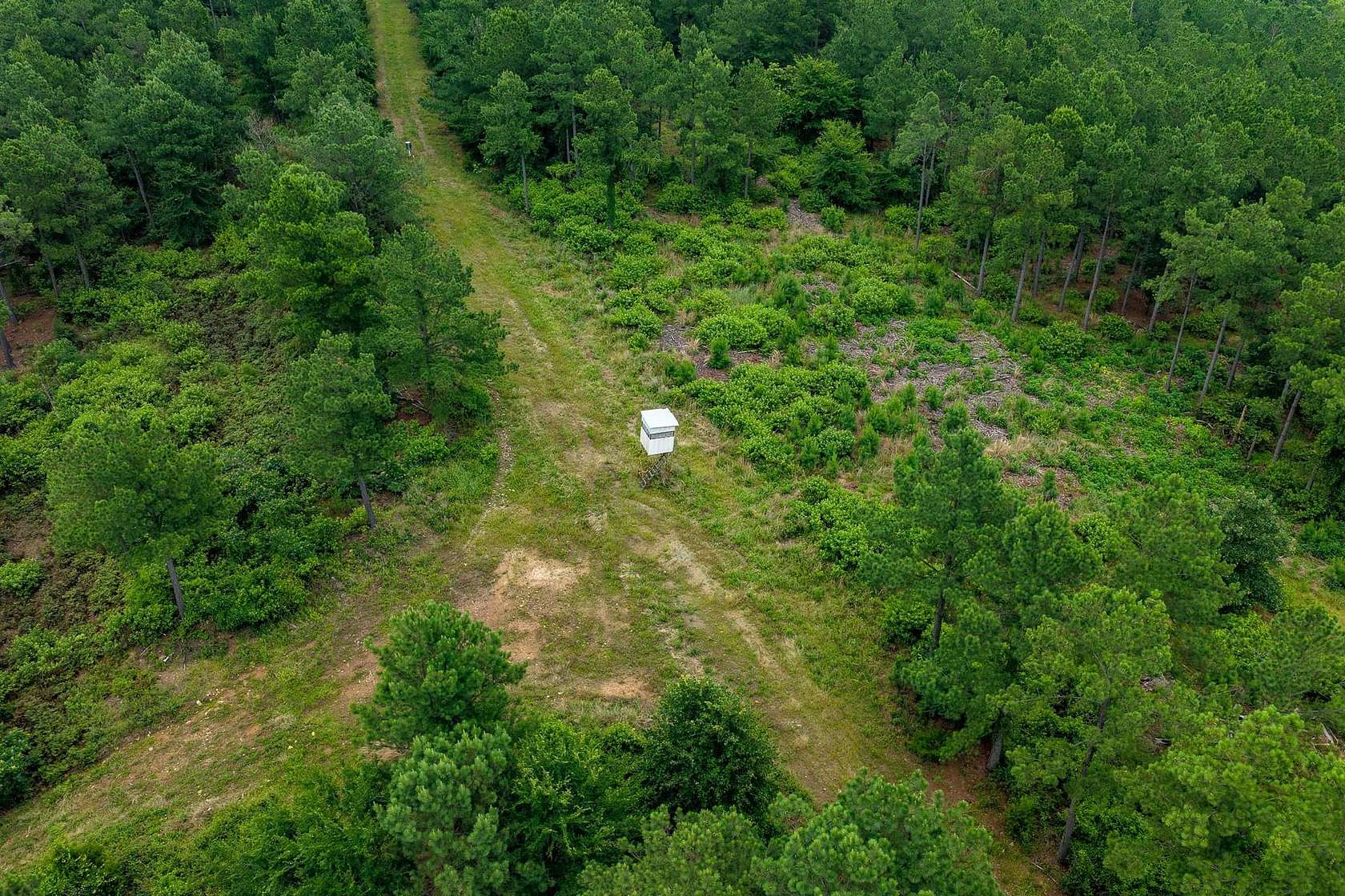 57 Acres of Recreational Land for Sale in De Queen, Arkansas