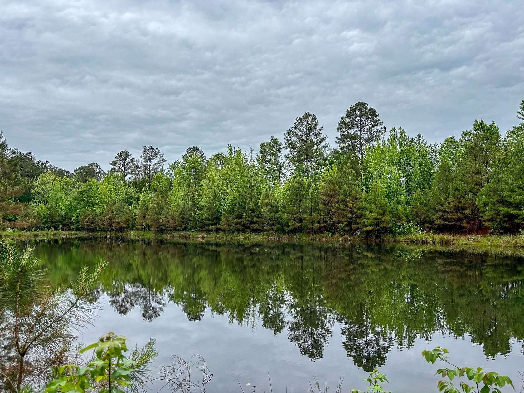 169 Acres of Recreational Land for Sale in Jessieville, Arkansas