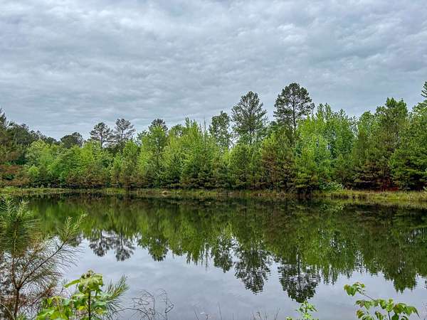 169 Acres of Recreational Land for Sale in Jessieville, Arkansas