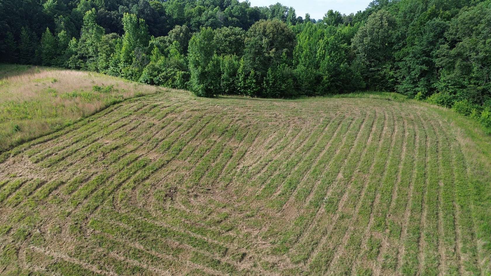 1 Acre of Residential Land for Sale in Smithville, Tennessee