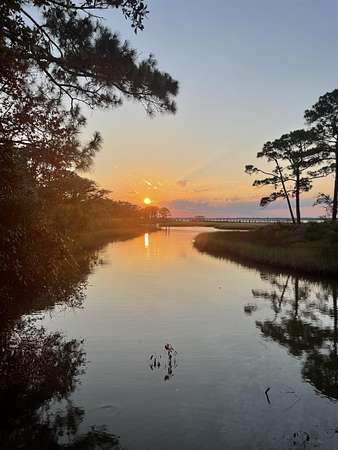 0.25 Acres of Residential Land for Sale in Panacea, Florida