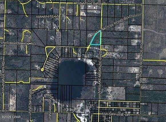 4.14 Acres of Residential Land for Sale in Altha, Florida