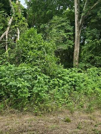 0.23 Acres of Residential Land for Sale in Daingerfield, Texas