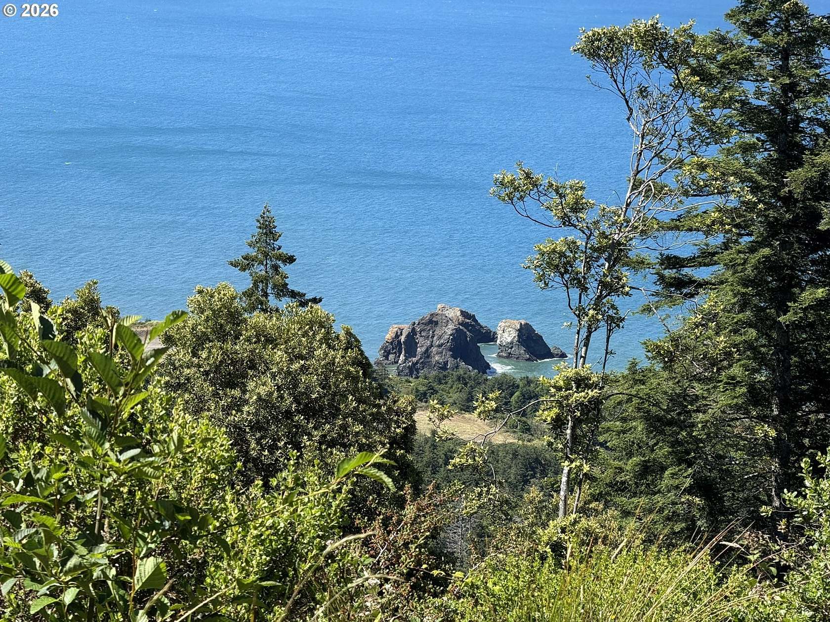 93.9 Acres of Recreational & Residential Land for Sale in Port Orford, Oregon