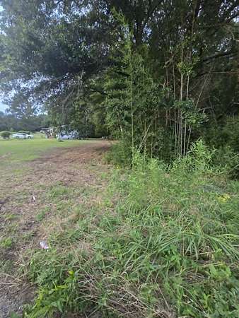 0.03 Acres of Land for Sale in Daingerfield, Texas