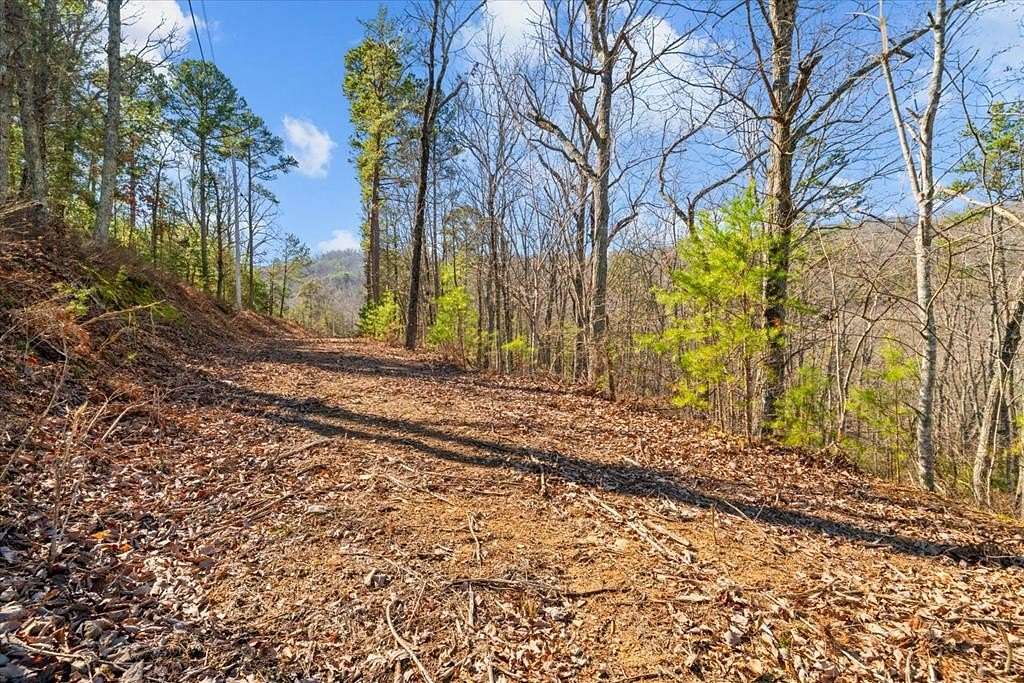 5.49 Acres of Land for Sale in Sugar Valley, Georgia