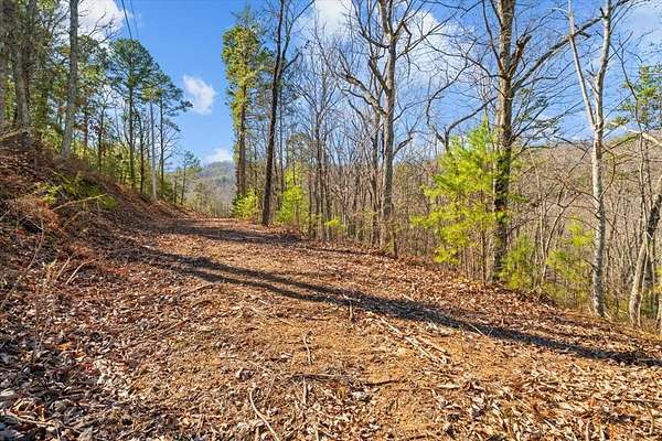 5.49 Acres of Land for Sale in Sugar Valley, Georgia