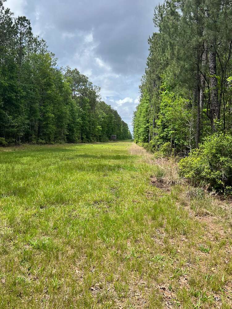 345 Acres of Land for Sale in Saratoga, Texas