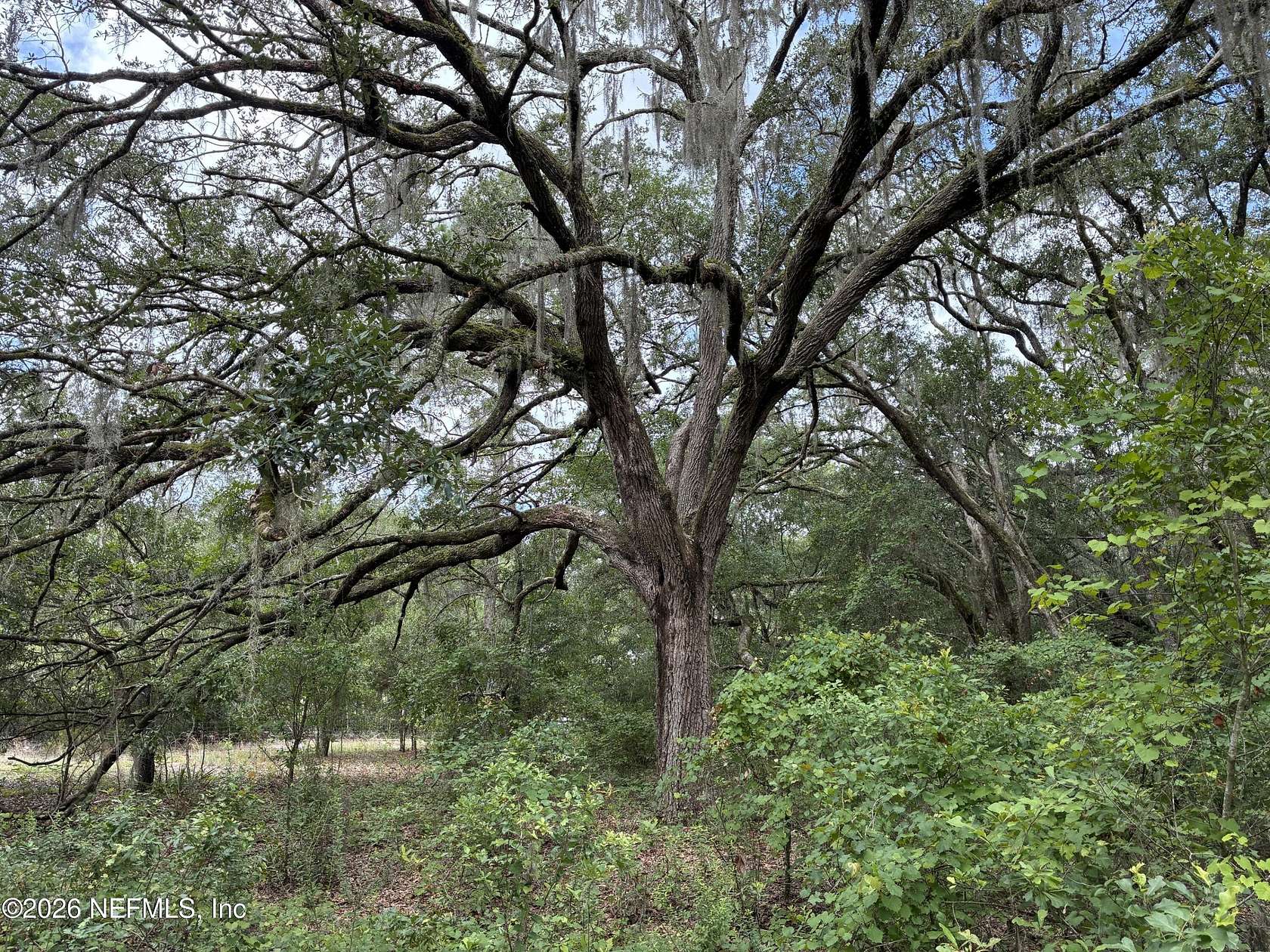1.2 Acres of Residential Land for Sale in Hawthorne, Florida