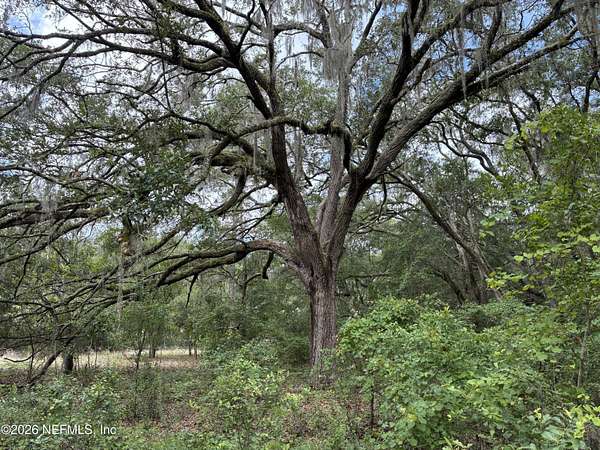 1.2 Acres of Residential Land for Sale in Hawthorne, Florida