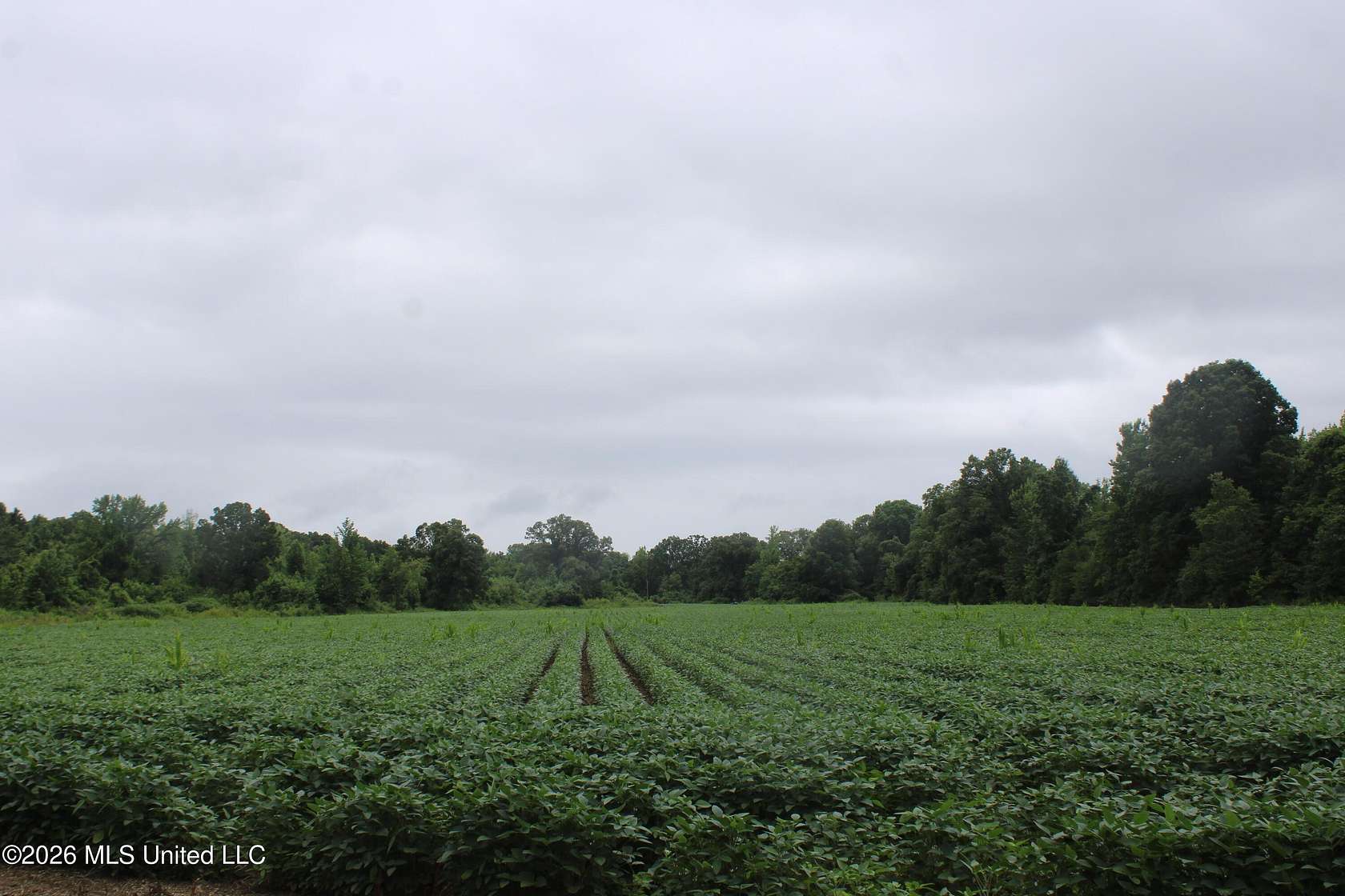 38.9 Acres of Recreational & Residential Land for Sale in Lamar, Mississippi