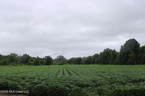 38.9 Acres of Recreational & Residential Land for Sale in Lamar, Mississippi