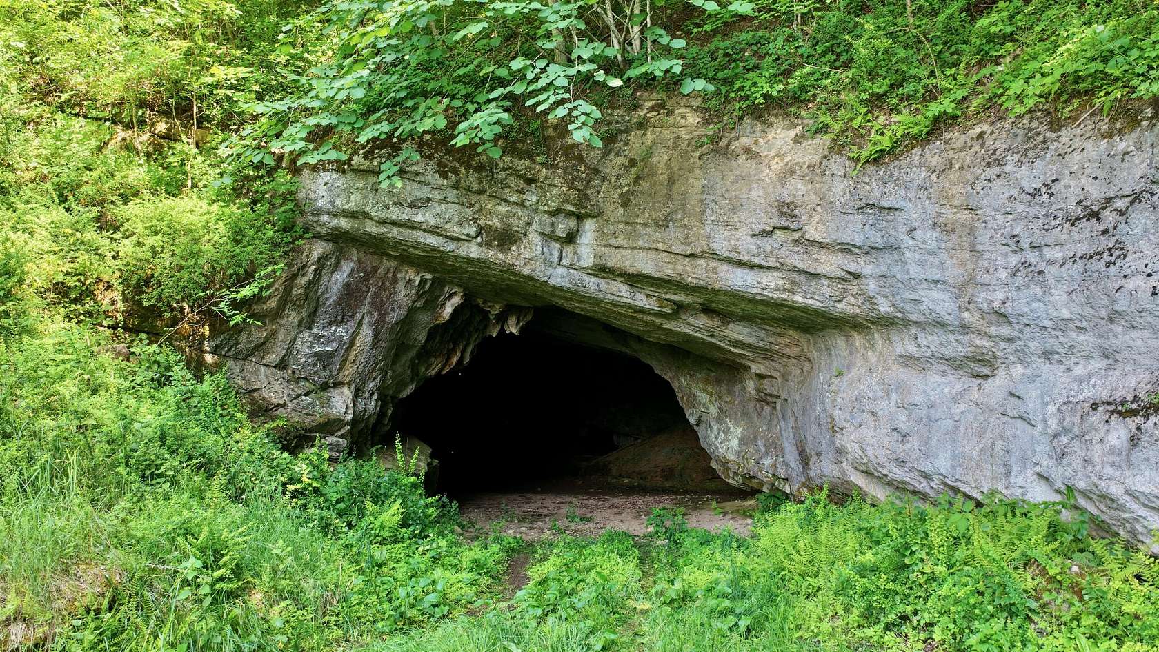 87 Acres of Recreational Land for Sale in Gap Mills, West Virginia